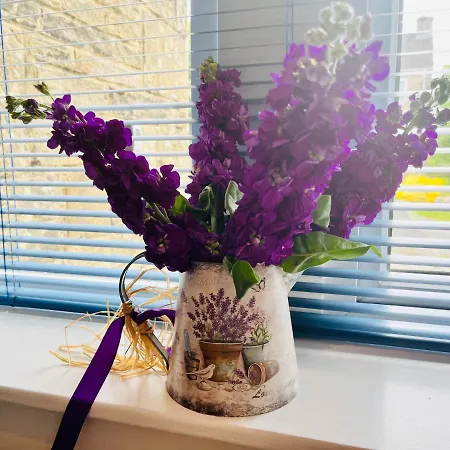 Casa de Férias Grassington Cottage *